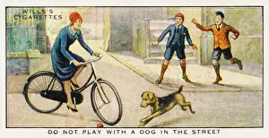 Stray: The Dog in the Street