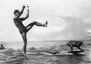 Surfboard: A dog on a surfboard. With its owner