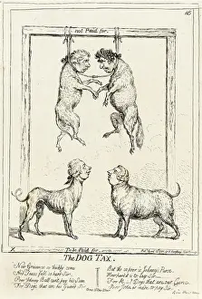 Castle Howard Collection: The Dog Tax