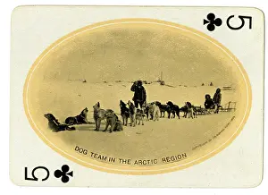 Seattle: Dog Team in the Arctic Region
