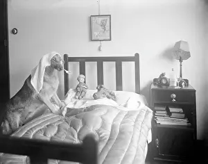Goodwins: DOG-TOR AND PATIENT