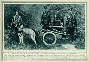 Batt: Dog traction for machine guns