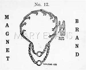Humane: DOG TRAINING COLLAR
