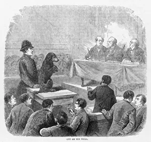 Offenders: Dog on Trial
