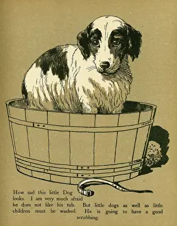 Miserably: DOG IN TUB