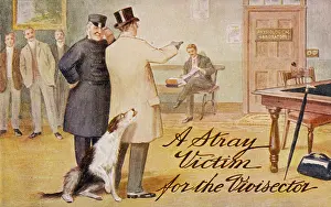 Vivisection: DOG FOR VIVISECTION