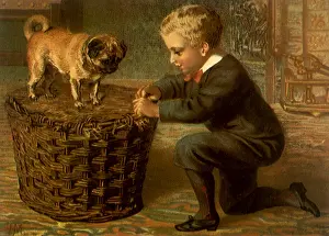 Woven: Dog Watches Boy