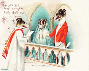 Surplice: Dog wedding in a church