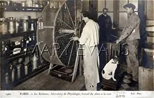 Vivisection: DOG WORKS AT WHEEL