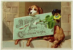 Wishing: DOG AND XMAS GREETING