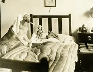 Doggie: DOGGIE DOCTOR