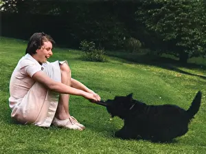Doggie: DOGGIE TUG OF WAR