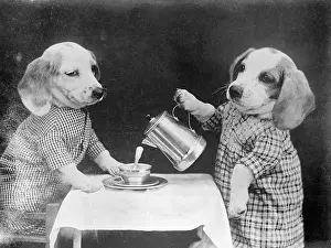Doggy: DOGGY COFFEE BREAK