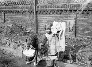 Pegging: DOGGY DOES LAUNDRY