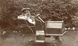Daft: Doggy Driver