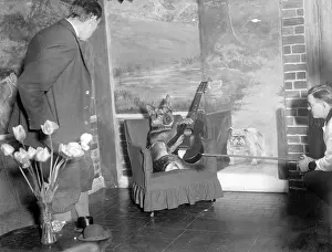 Doggy: DOGGY GUITARIST