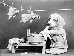 Pegging: DOGGY LAUNDRESS