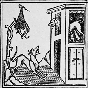 Litrature: The two dogs