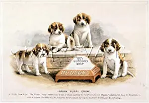 Shopkeepers: DOGS ADVERTISE SOAP
