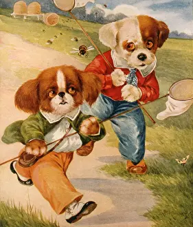 Hive: Two dogs with butterfly nets