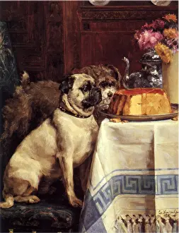 Stare: Dogs and Cake