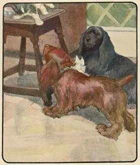 Answered: TWO DOGS AND A CAT