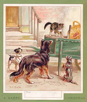 Dadd: Three dogs and a cat on a Christmas card