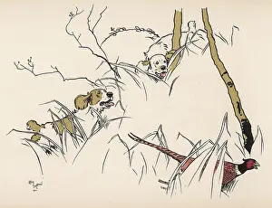 Undergrowth: Dogs chasing a pheasant