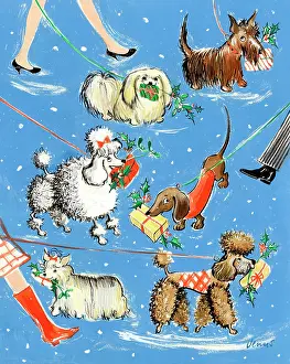 Six dogs with Christmas Presents