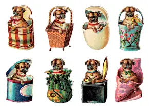 Inkpot: Dogs in containers on eight Victorian scraps