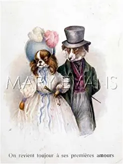 Rakish: DOGS AS COUPLE