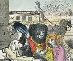 Clothed: The Dogs Dinner Party