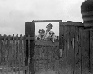 Pampered: DOGS AT A DOG HOTEL