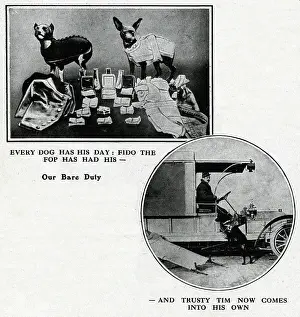 Fido: Dogs doing their wartime duty, WW1