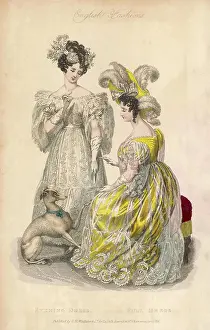 Anything: Dogs and Dresses