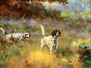 Eyeing: Two Dogs Eyeing Birds