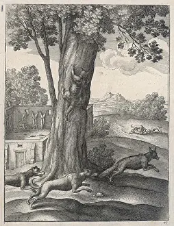 Situations: DOGS FIGHT FOXES