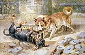Growling: TWO DOGS FIGHTING