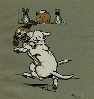 Forager: Two dogs fighting outside Tabitha's house