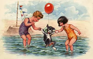 Introducing: Dogs First Swim