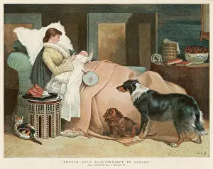 Forgotten: DOGS FORGOTTEN