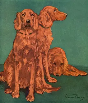Thorne: Three Dogs on Green