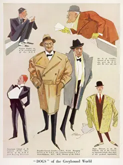 DOGS OF THE GREYHOUND WORLD BY H.H. HARRIS