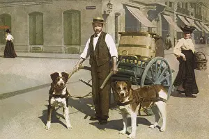 Milkman: DOGS HARNESED TO CART