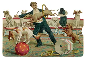 Tricks: Dogs at Hippodrome