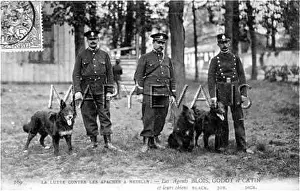 Apaches: DOGS AGAINST HOOLIGANS