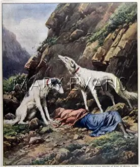 Howl: DOGS HOWL FOR VICTIM