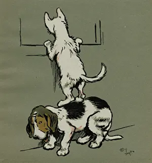 Delicious: Two dogs not invited to Tabitha's for tea