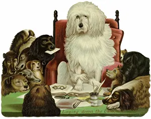 Adopting: Dogs Lay Down the Law