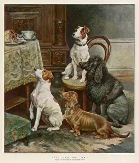 Lust: DOGS LUST FOR FOOD